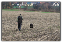 Fährtenhunde
